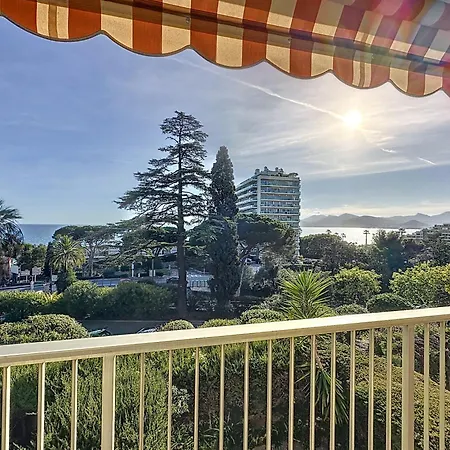 - Avec Vue * 칸느